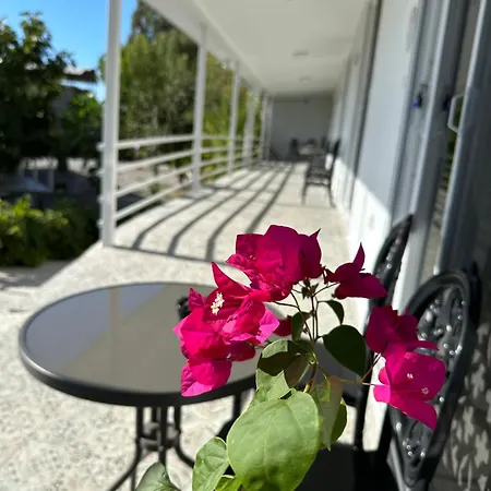 Habitación en casa particular Airport Blue Eye House Ideal For Air Travellers 5 Km From Airport *