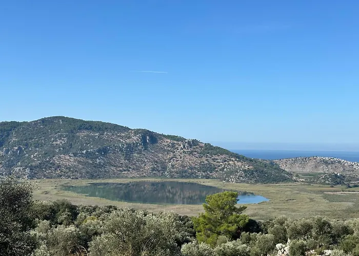 Blue Eye 5 Km From Airport 달라만