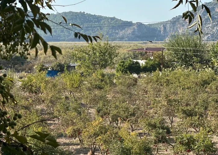 Blue Eye 5 Km From Airport *